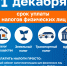 1 - Павловский муниципальный округ